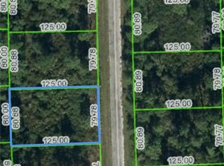 4399 Gerona Ave, Sebring, FL 33872