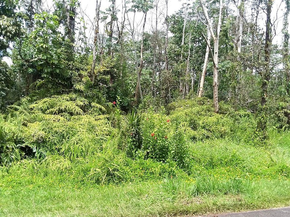 1st image of Punawai St Lot 12
