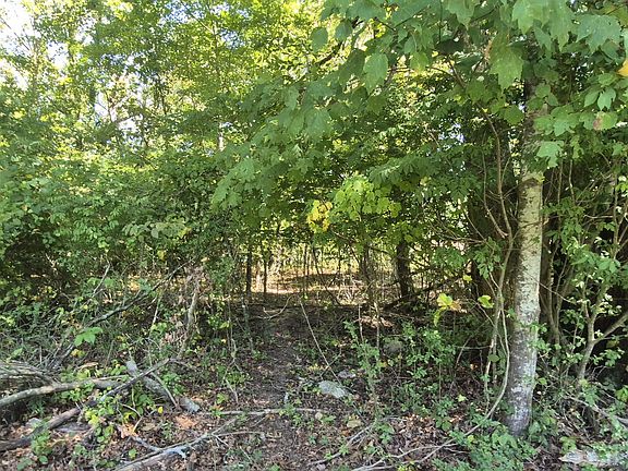 5th image of 0 Spring St #1