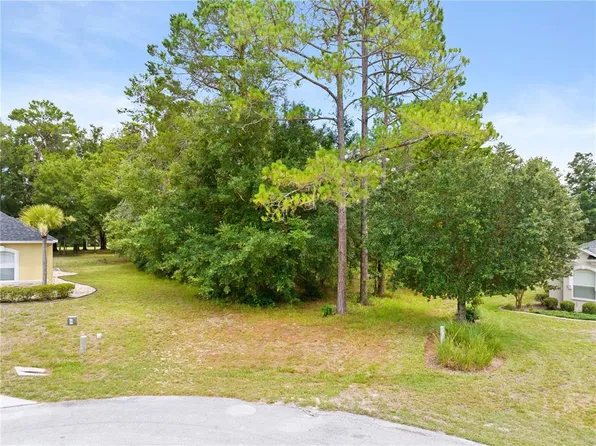 17 Woodlee Ct S #36, Homosassa, FL 34446