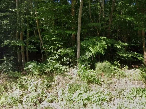 1134 Springfield Road, Williamsburg, VA 23185