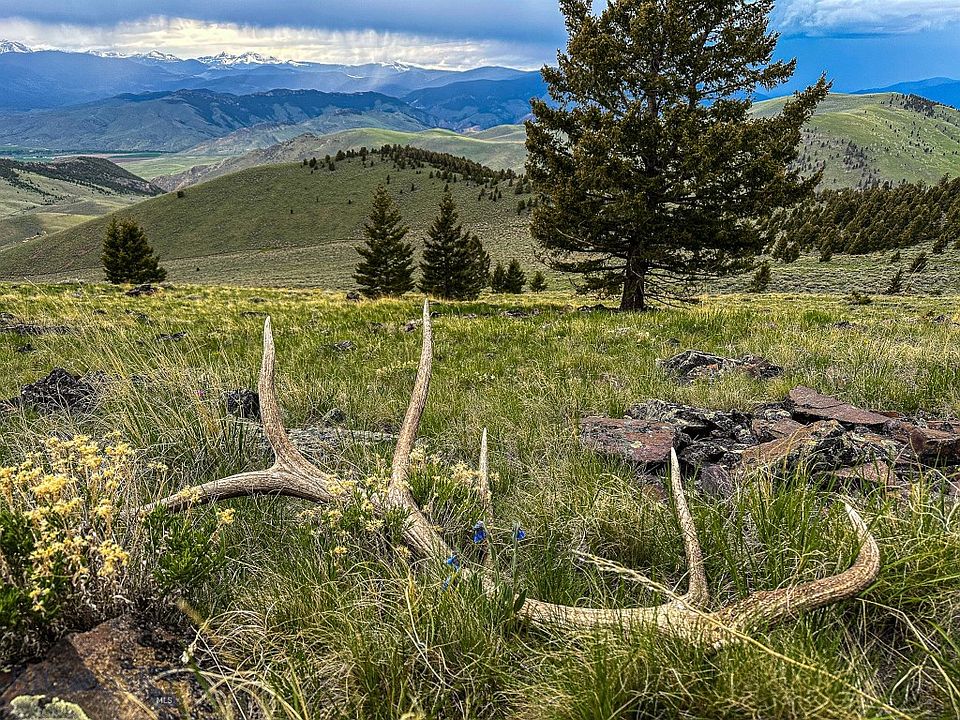 Nhn Soap Gulch Rd, Melrose, MT 59743 Zillow
