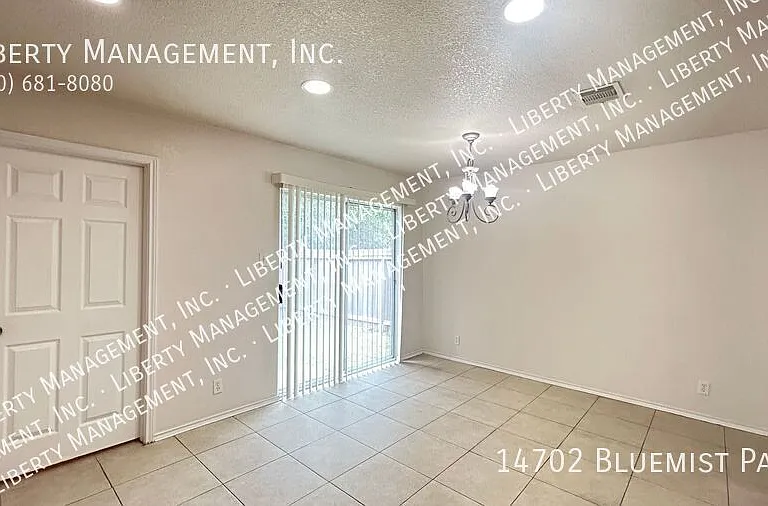 14702 Bluemist Pass — Photo 10