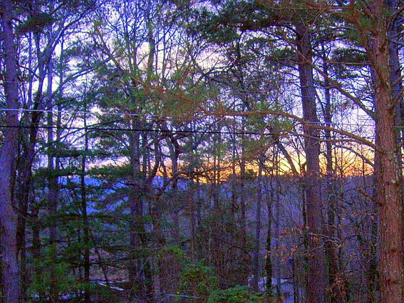 Winter view from front yard