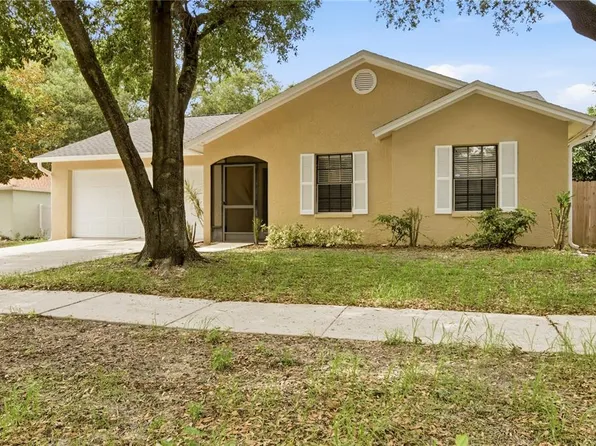 929 Sandywood Dr, Brandon, FL 33510