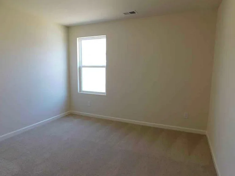 3658 Oakleaf Pass — Photo 8