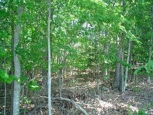 1st image of 171 Natchez Cir