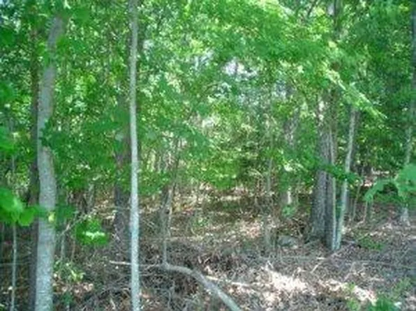 171 Natchez Cir, Crossville, TN 38558