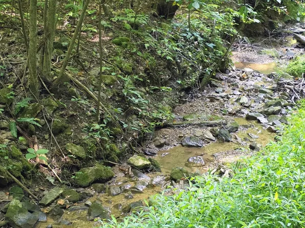 16 Black Walnut Flats Rd Lot 16, Sevierville, TN 37862