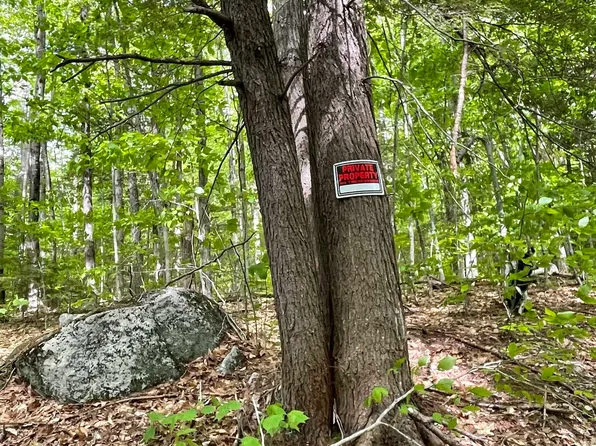 Lot 1 Old Roxbury Road, Meredith, NH 03253