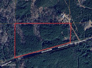 19/AC Old Susanna Rd, Dadeville, AL 36853