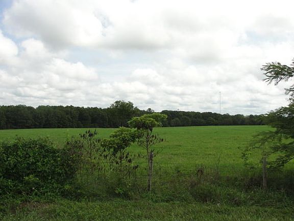 DSC00652
