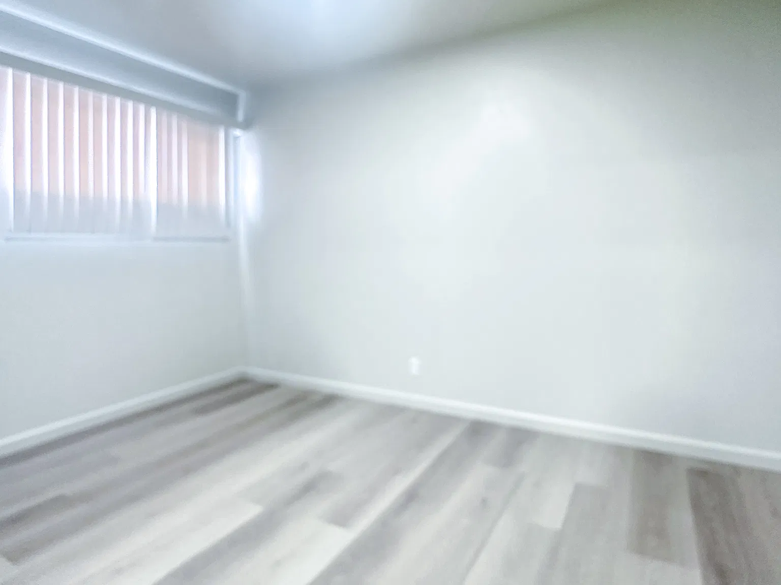 3 bed, 1000 sqft, $2,950 — Photo 3