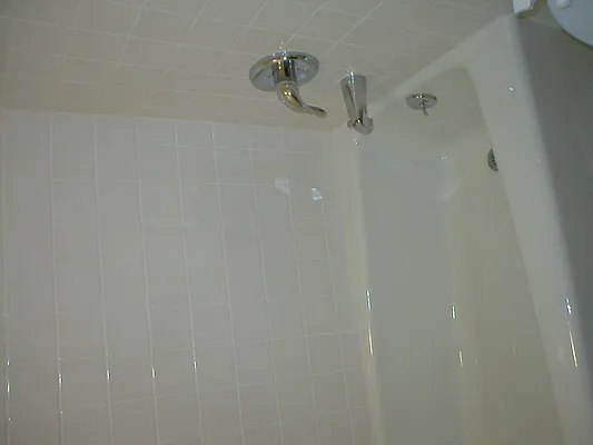 Rented by Eric Goodman Realty Corp | media 26