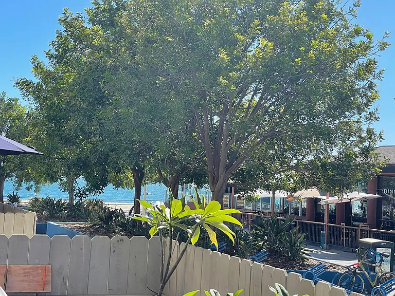 Ocean view from patio - breathe in the beauty of the sparkling pacific!