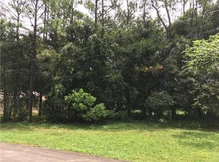 2887 Chadwick Ln, Deltona, FL 32738