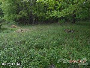 325 Ben titus road field acrage