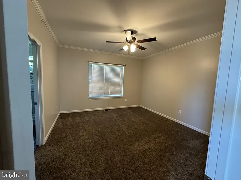 4619 Forest Pines Dr — Photo 14