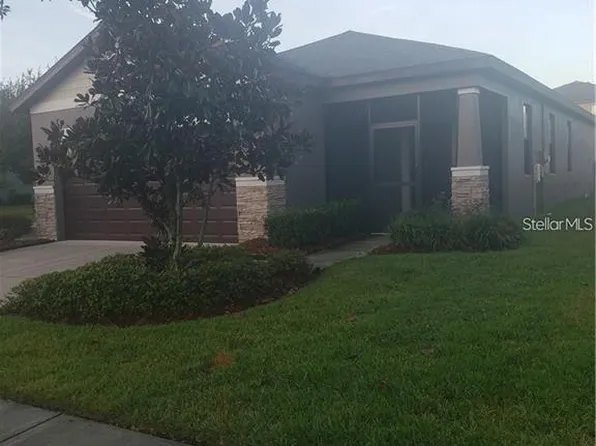 4517 Paper Mulberry Pl, Riverview, FL 33578