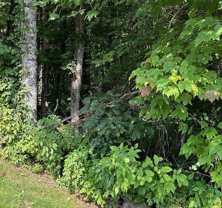 2nd image of Lot 222 Dry Stack Way