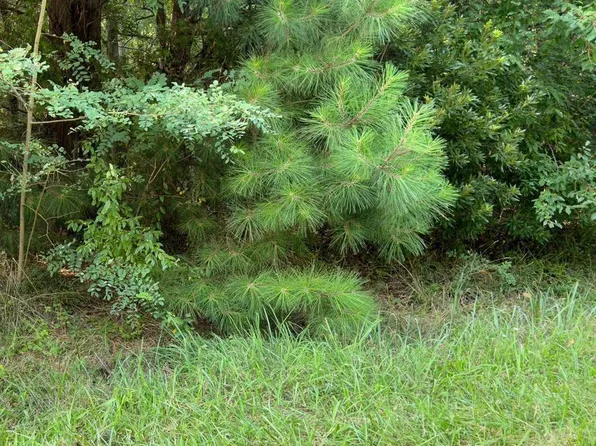 0 Pickering Beach Rd, Dover, DE 19901