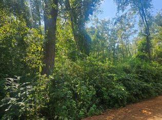 0 Twin Oaks Rd, Ray City, GA 31645