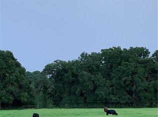 15123 SW 16th Ave, Ocala, FL 34473