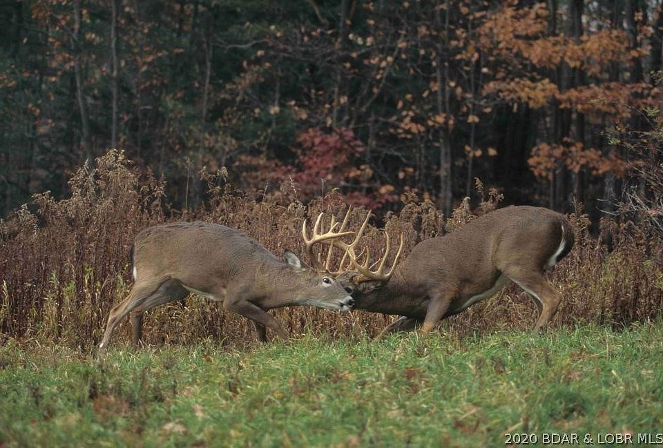 1st image of Quiet Meadows Ct