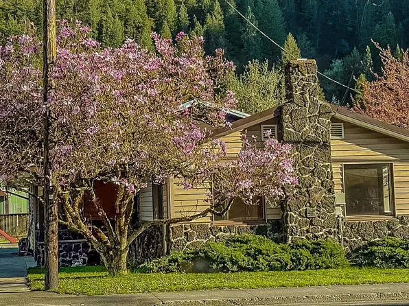 1155 Michigan Ave, Orofino, ID 83544