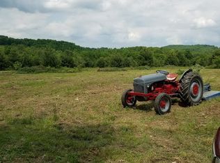 60 Acres Cotton Hollow Road Bradford Cty, Athens, PA 18810