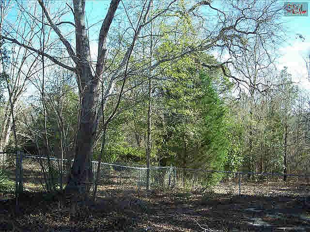 2nd image of 509 Manor Dr