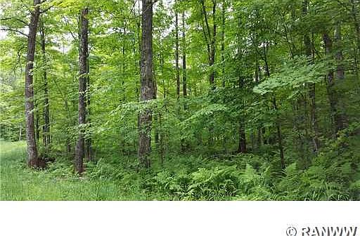 3rd image of Near Deer Lake Road