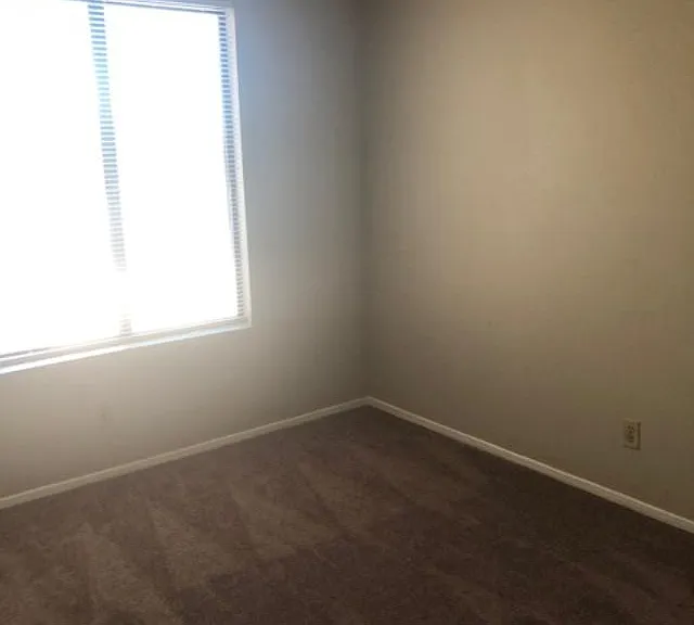 398 Dooley Dr — Photo 17