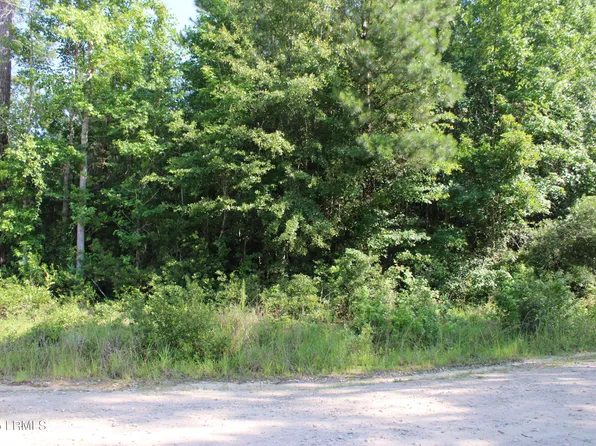 800 Dr Young Rd, Hampton, SC 29924