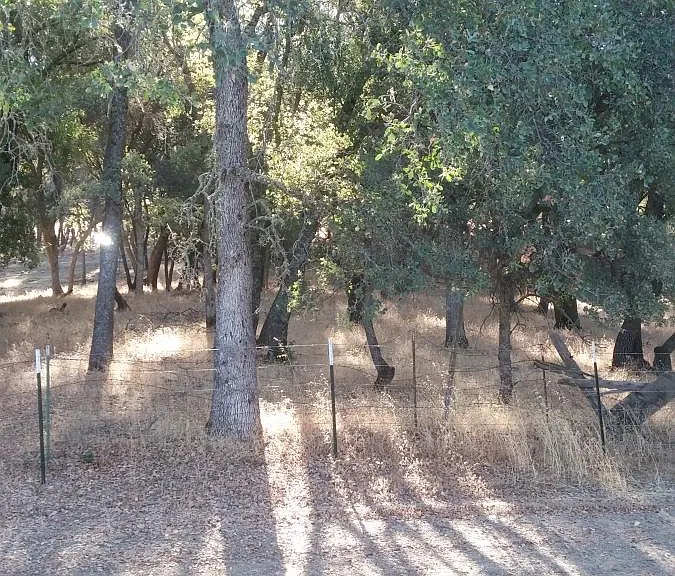 6730 Mystery Creek Ln — Photo 34
