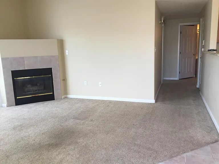 Gas fireplace