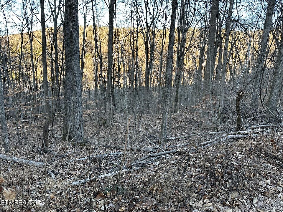 2nd image of 0 Stone Ridge Rd