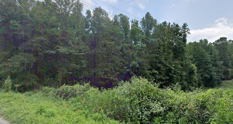 2nd image of 65A Bradleyville Rd