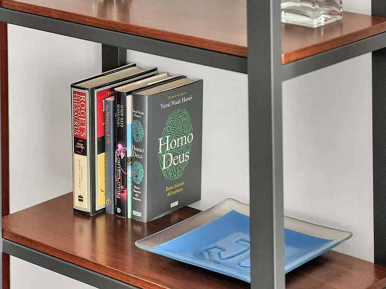Reading Area