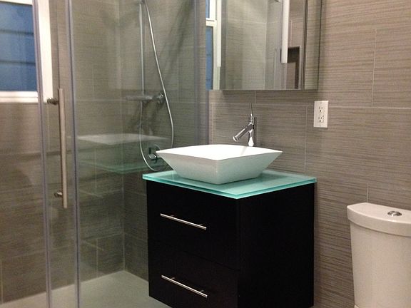 Luxury Bath Hansgrohe Shower w.thermostat, Robern AiO Cabine