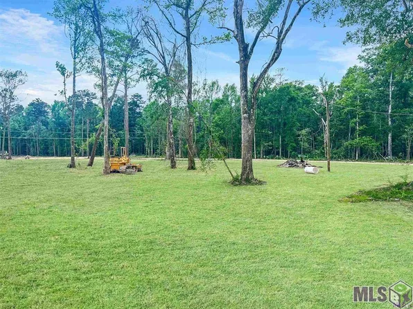 Ek 5 Springfield Rd, Walker, LA 70785