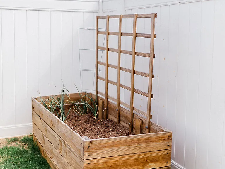 Large garden bed