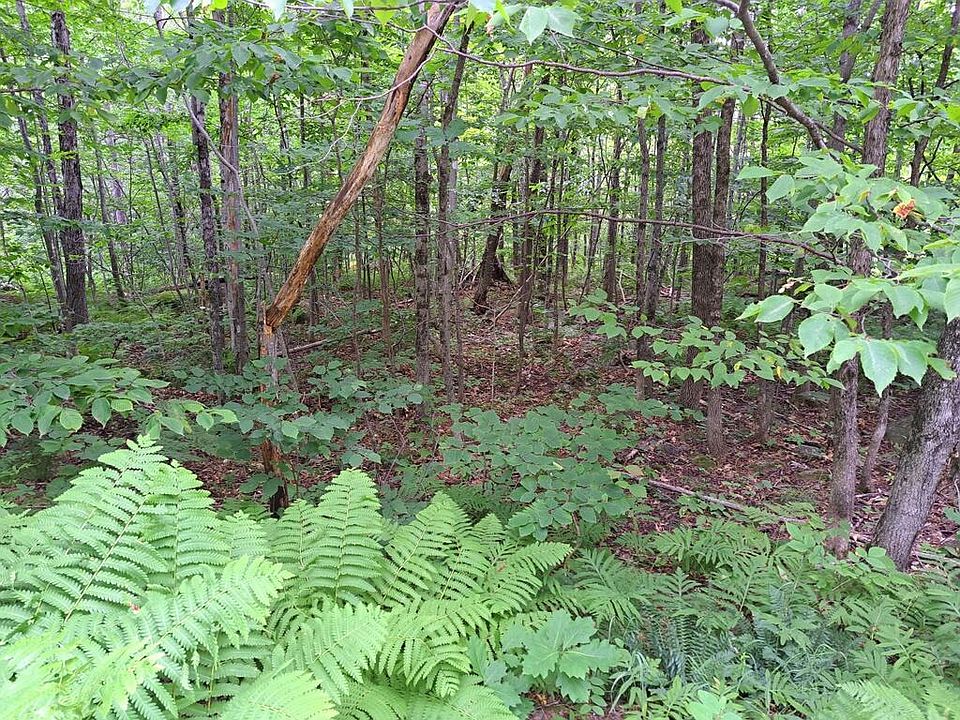 2nd image of Lot 12 Barker Road