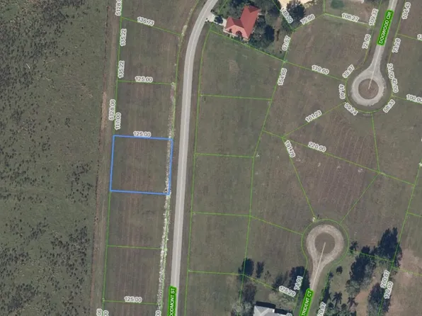 816 Woodmont Street, Sebring, FL 33876