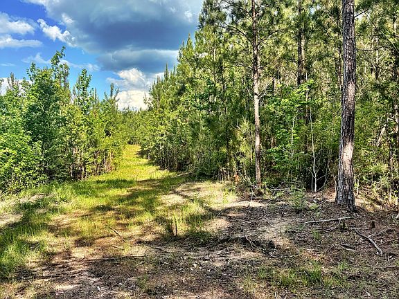 3rd image of O'Johnson Rd