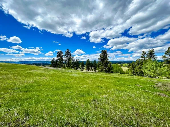 33 Wood Run Trl, McCall, ID 83638