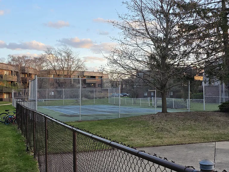 Tanis Courts.