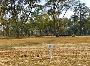 307 Bayley Rd, Daniel Island, SC 29492