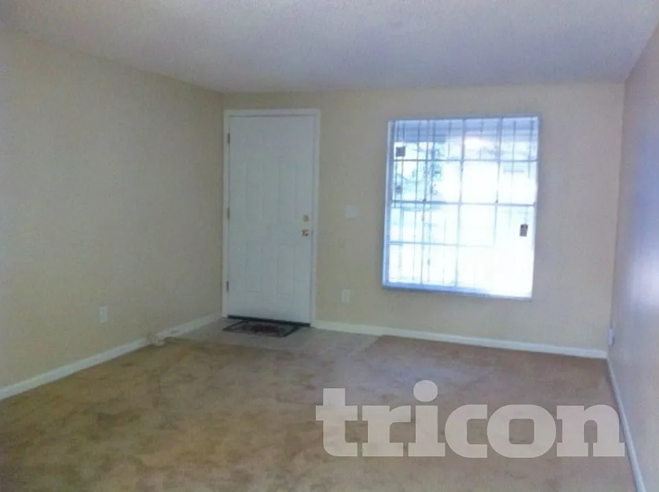 3715 Patina Drive Tampa FL — Photo 3