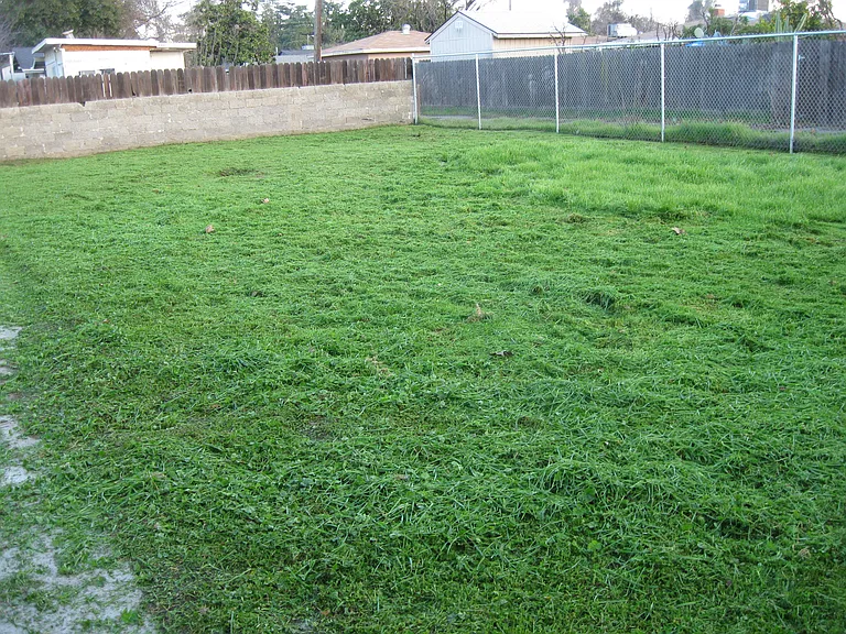 424 E Fedora Ave — Photo 7